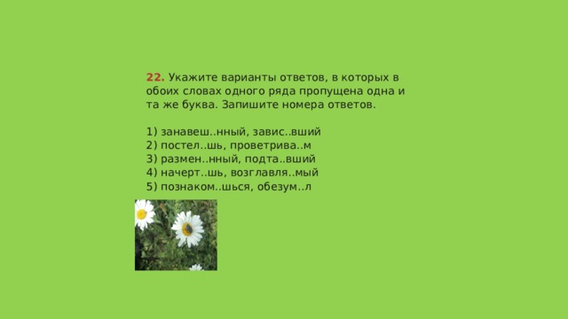 22.  Укажите варианты ответов, в которых в обоих словах одного ряда пропущена одна и та же буква. Запишите номера ответов.   1) занавеш..нный, завис..вший  2) постел..шь, проветрива..м  3) размен..нный, подта..вший  4) начерт..шь, возглавля..мый  5) познаком..шься, обезум..л   Ответ 123 