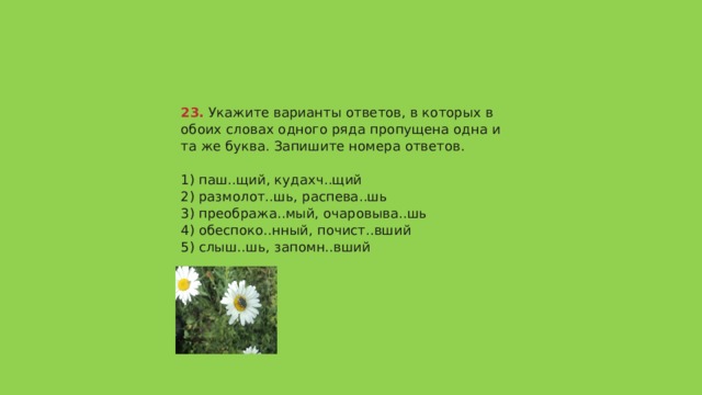 23.  Укажите варианты ответов, в которых в обоих словах одного ряда пропущена одна и та же буква. Запишите номера ответов.   1) паш..щий, кудахч..щий  2) размолот..шь, распева..шь  3) преобража..мый, очаровыва..шь  4) обеспоко..нный, почист..вший  5) слыш..шь, запомн..вший   Ответ 135 