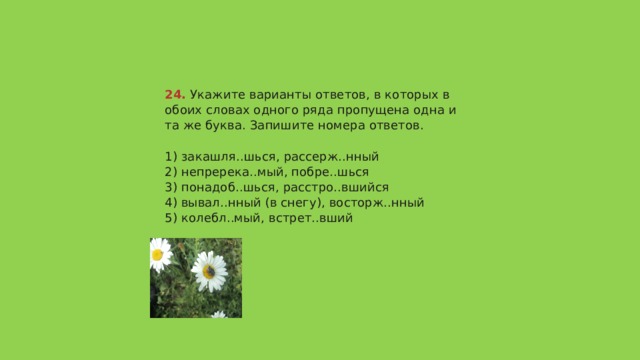 24.  Укажите варианты ответов, в которых в обоих словах одного ряда пропущена одна и та же буква. Запишите номера ответов.   1) закашля..шься, рассерж..нный  2) непререка..мый, побре..шься  3) понадоб..шься, расстро..вшийся  4) вывал..нный (в снегу), восторж..нный  5) колебл..мый, встрет..вший   Ответ 123   