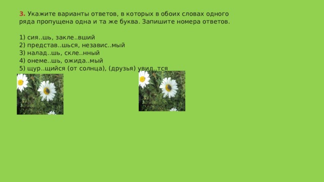 3.  Укажите варианты ответов, в которых в обоих словах одного ряда пропущена одна и та же буква. Запишите номера ответов.   1) сия..шь, закле..вший  2) представ..шься, независ..мый  3) налад..шь, скле..нный  4) онеме..шь, ожида..мый  5) щур..щийся (от солнца), (друзья) увид..тся   Ответ 245 