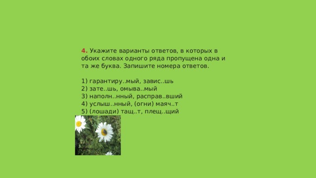 4.  Укажите варианты ответов, в которых в обоих словах одного ряда пропущена одна и та же буква. Запишите номера ответов.   1) гарантиру..мый, завис..шь  2) зате..шь, омыва..мый  3) наполн..нный, расправ..вший  4) услыш..нный, (огни) маяч..т  5) (лошади) тащ..т, плещ..щий   Ответ 24 