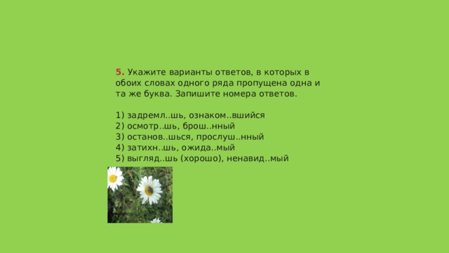 5.  Укажите варианты ответов, в которых в обоих словах одного ряда пропущена одна и та же буква. Запишите номера ответов.   1) задремл..шь, ознаком..вшийся  2) осмотр..шь, брош..нный  3) останов..шься, прослуш..нный  4) затихн..шь, ожида..мый  5) выгляд..шь (хорошо), ненавид..мый   Ответ 45 