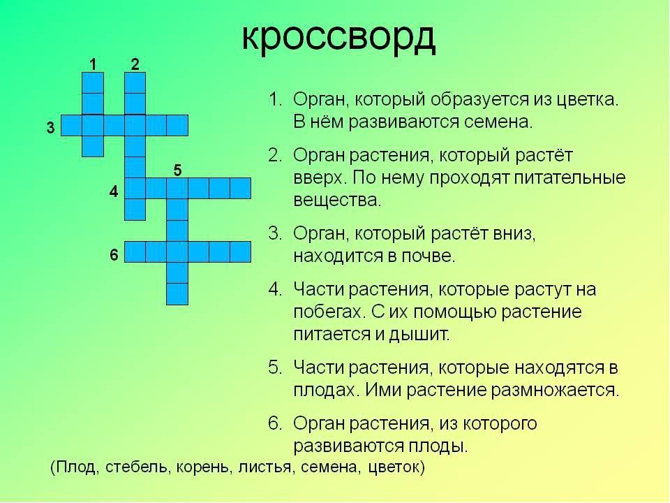 Природный план организма 7 букв