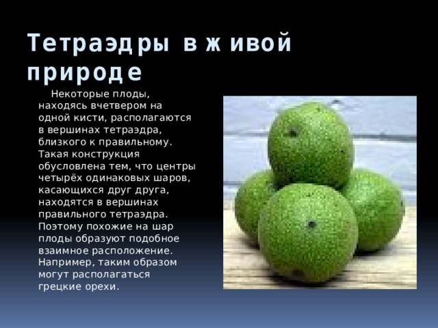 Тетраэдры в живой природе  Некоторые плоды, находясь вчетвером на одной кисти, располагаются в вершинах тетраэдра, близкого к правильному. Такая конструкция обусловлена тем, что центры четырёх одинаковых шаров, касающихся друг друга, находятся в вершинах правильного тетраэдра. Поэтому похожие на шар плоды образуют подобное взаимное расположение. Например, таким образом могут располагаться грецкие орехи. 