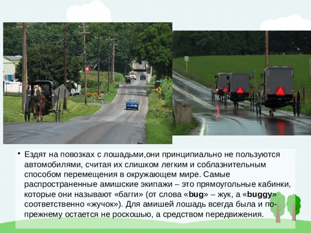 Ездят на повозках с лошадьми,они принципиально не пользуются автомобилями, считая их слишком легким и соблазнительным способом перемещения в окружающем мире. Самые распространенные амишские экипажи – это прямоугольные кабинки, которые они называют «багги» (от слова « bug » – жук, а « buggy » соответственно «жучок»). Для амишей лошадь всегда была и по-прежнему остается не роскошью, а средством передвижения. 