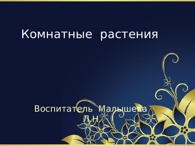 Комнатные растения Воспитатель Малышева Л.Н. 