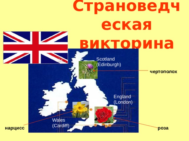 Страноведческая викторина Scotland (Edinburgh) чертополох England (London) Wales (Cardiff) нарцисс роза 