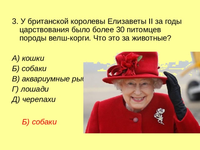 3. У британской королевы Елизаветы II за годы царствования было более 30 питомцев породы велш-корги. Что это за животные?  А) кошки  Б) собаки  В) аквариумные рыбки  Г) лошади  Д) черепахи Б) собаки  