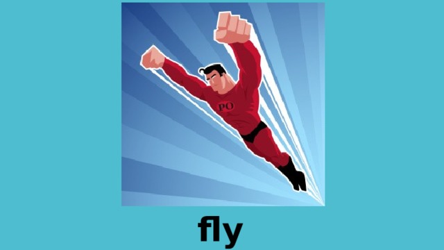 fly 