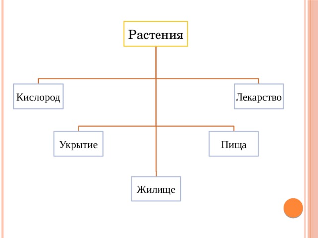 Растения Кислород Лекарство Укрытие Пища Жилище 