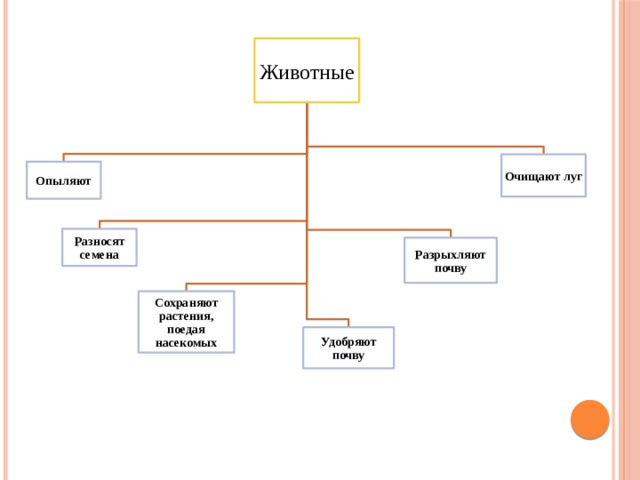 Животные Очищают луг Опыляют Разносят семена Разрыхляют почву Сохраняют растения, поедая насекомых Удобряют почву 