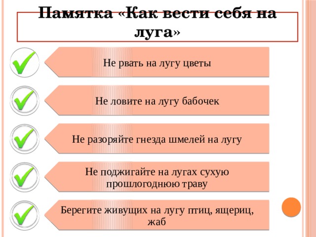 Не рвать на лугу цветы Не ловите на лугу бабочек Не разоряйте гнезда шмелей на лугу Не поджигайте на лугах сухую прошлогоднюю траву Берегите живущих на лугу птиц, ящериц, жаб Памятка «Как вести себя на луга» 