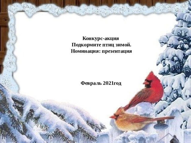     Конкурс-акция Подкормите птиц зимой. Номинация: презентация     Февраль 2021год 