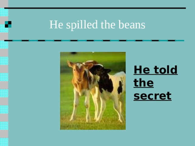 He spilled the beans He told the secret  