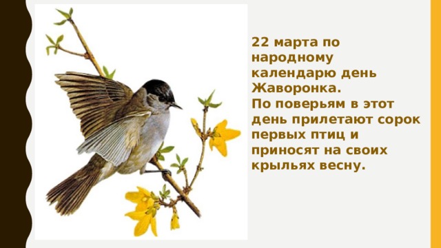 Заклички птицам
