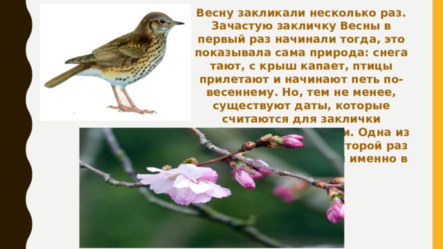 Заклички птицам