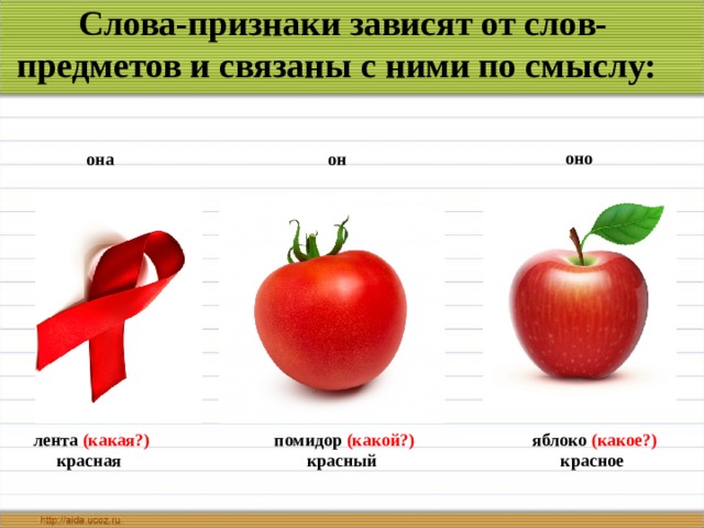 Слова обозначающие признак предмета отвечают на вопрос. Яблоко какое. Красный помидор какой род. Какое яблоко лишнее? Объясните свой выбор.