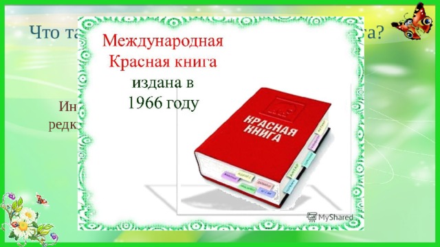 Что такое Международная Красная книга? Информационный документ-список — описание редких и исчезающих видов животных и растений планеты. 