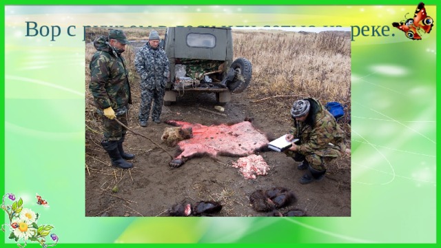 Вор с ружьем в лесу или сетью на реке. Кто это? Браконьер 