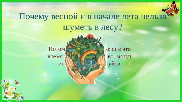 Почему весной и в начале лета нельзя шуметь в лесу? Потому что птицы и звери в это время выводят потомство, могут испугаться шума и уйти 