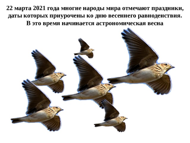 22 марта 2021 года многие народы мира отмечают праздники, даты которых приурочены ко дню весеннего равноденствия. В это время начинается астрономическая весна 