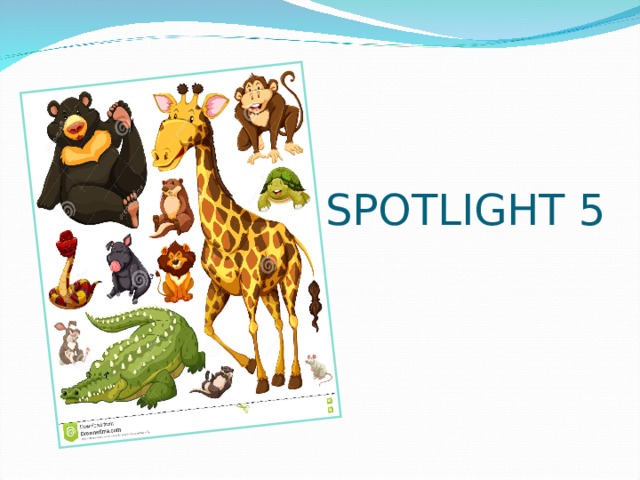 SPOTLIGHT 5 