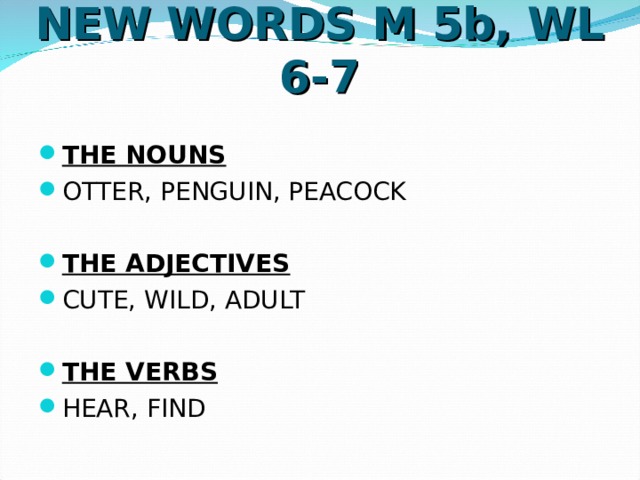 NEW WORDS M 5b, WL 6-7 THE NOUNS OTTER, PENGUIN, PEACOCK  THE ADJECTIVES CUTE, WILD, ADULT  THE VERBS HEAR, FIND  