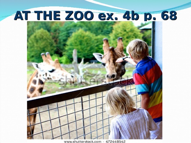 AT THE ZOO ex. 4b p. 68 