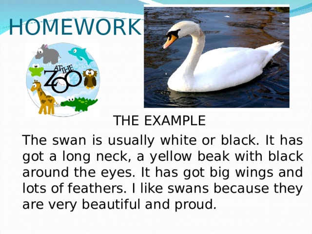 HOMEWORK  THE EXAMPLE   The swan is usually white or black. It has got a long neck, a yellow beak with black around the eyes. It has got big wings and lots of feathers. I like swans because they are very beautiful and proud . 