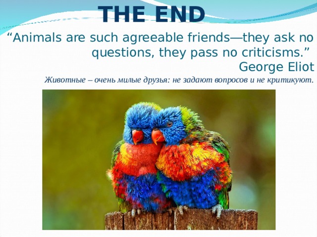 THE END “ Animals are such agreeable friends―they ask no questions, they pass no criticisms.” George Eliot Животные – очень милые друзья: не задают вопросов и не критикуют. 