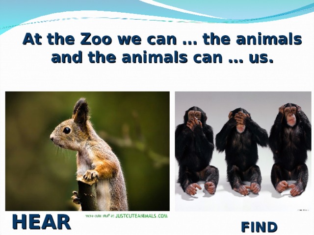 At the Zoo we can … the animals and the animals can … us. HEAR FIND 