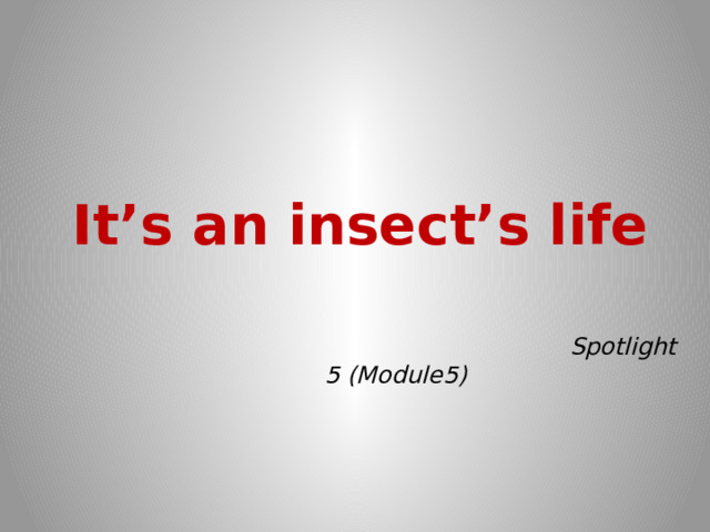It’s an insect’s life  Spotlight 5 (Module5) 
