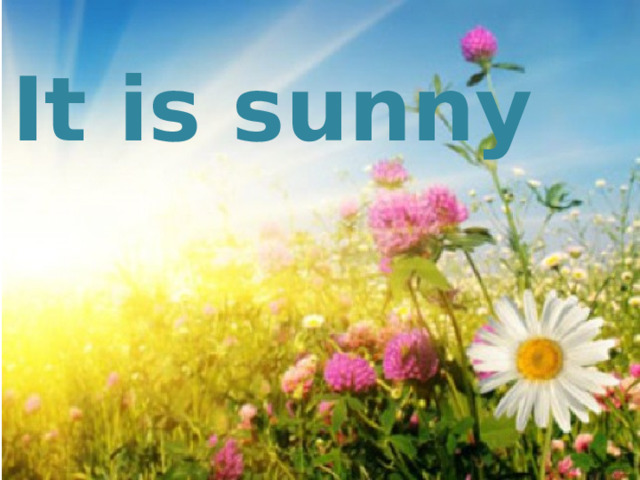 It is sunny 