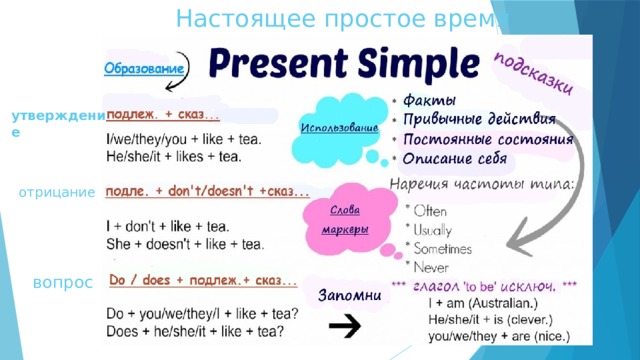 Настоящее простое время утверждение отрицание вопрос 