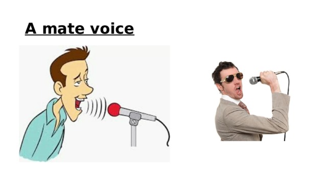 A mate voice 