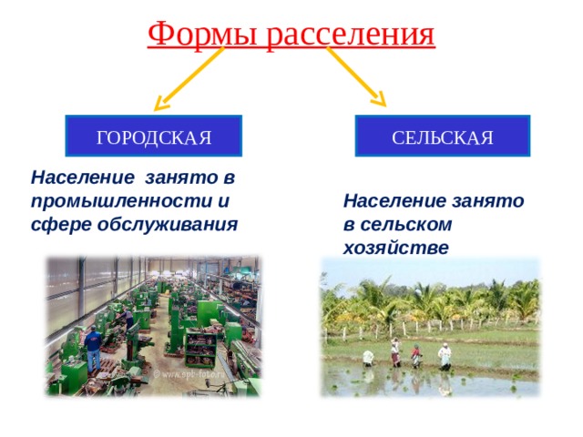 Формы расселения ГОРОДСКАЯ СЕЛЬСКАЯ Население занято в промышленности и сфере обслуживания Население занято в сельском хозяйстве 