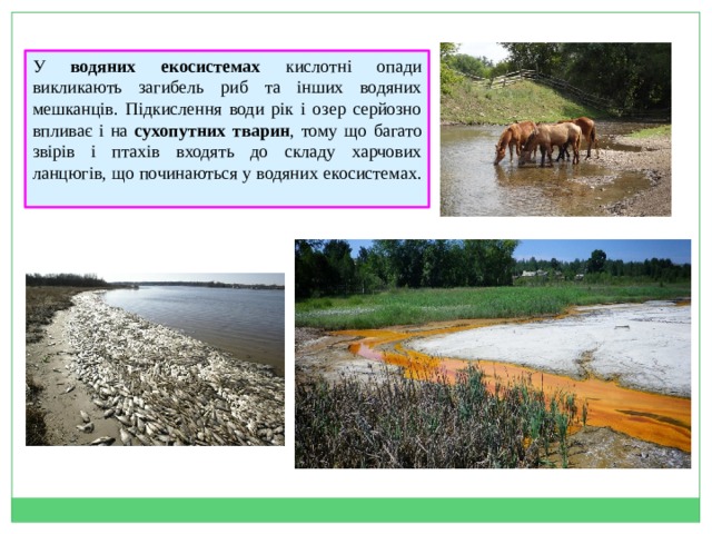 У водяних екосистемах кислотні опади викликають загибель риб та інших водяних мешканців. Підкислення води рік і озер серйозно впливає і на сухопутних тварин , тому що багато звірів і птахів входять до складу харчових ланцюгів, що починаються у водяних екосистемах.   