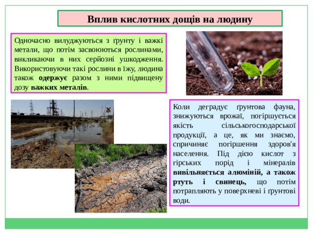 Вплив кислотних дощів на людину Одночасно вилуджуються з ґрунту і важкі метали, що потім засвоюються рослинами, викликаючи в них серйозні ушкодження. Використовуючи такі рослини в їжу, людина також одержує разом з ними підвищену дозу важких металів . Коли деградує ґрунтова фауна, знижуються врожаї, погіршується якість сільськогосподарської продукції, а це, як ми знаємо, спричиняє погіршення здоров'я населення. Під дією кислот з гірських порід і мінералів вивільняється алюміній, а також ртуть і свинець, що потім потрапляють у поверхневі і ґрунтові води. 