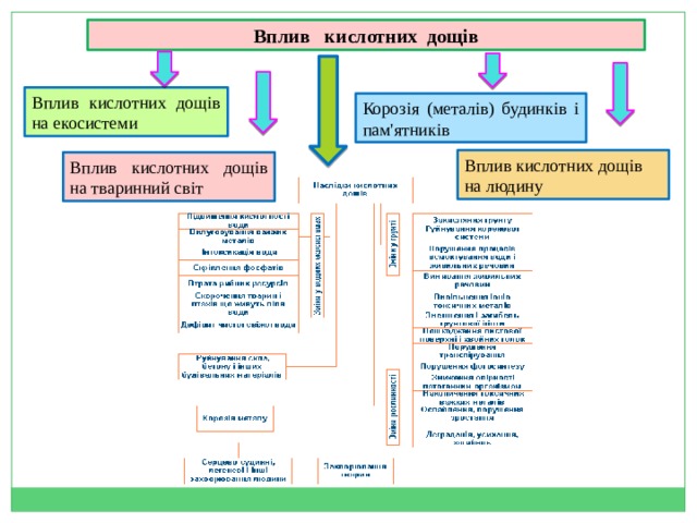 Вплив кислотних дощів Вплив кислотних дощів на екосистеми Корозія (металів) будинків і пам'ятників Вплив кислотних дощів на людину Вплив кислотних дощів на тваринний світ 