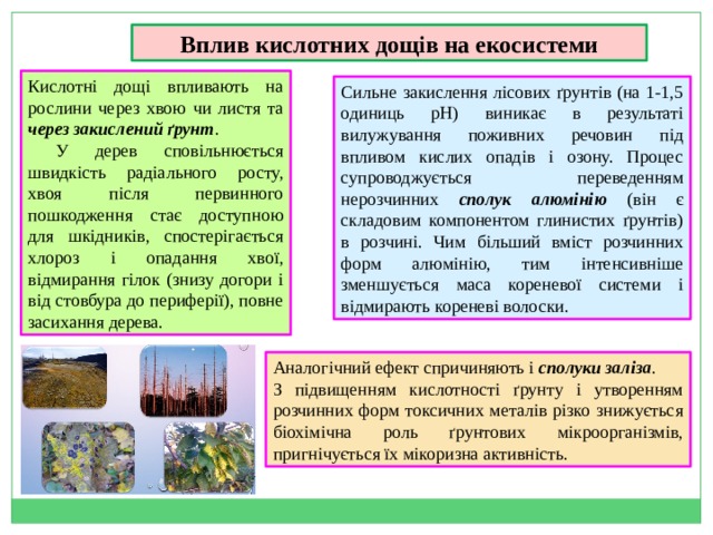 Вплив кислотних дощів на екосистеми Кислотні дощі впливають на рослини через хвою чи листя та через закислений ґрунт .  У дерев сповільнюється швидкість радіального росту, хвоя після первинного пошкодження стає доступною для шкідників, спостерігається хлороз і опадання хвої, відмирання гілок (знизу догори і від стовбура до периферії), повне засихання дерева. Сильне закислення лісових ґрунтів (на 1-1,5 одиниць рН) виникає в результаті вилужування поживних речовин під впливом кислих опадів і озону. Процес супроводжується переведенням нерозчинних сполук  алюмінію (він є складовим компонентом глинистих ґрунтів) в розчині. Чим більший вміст розчинних форм алюмінію, тим інтенсивніше зменшується маса кореневої системи і відмирають кореневі волоски. Аналогічний ефект спричиняють і сполуки заліза . З підвищенням кислотності ґрунту і утворенням розчинних форм токсичних металів різко знижується біохімічна роль ґрунтових мікроорганізмів, пригнічується їх мікоризна активність. 