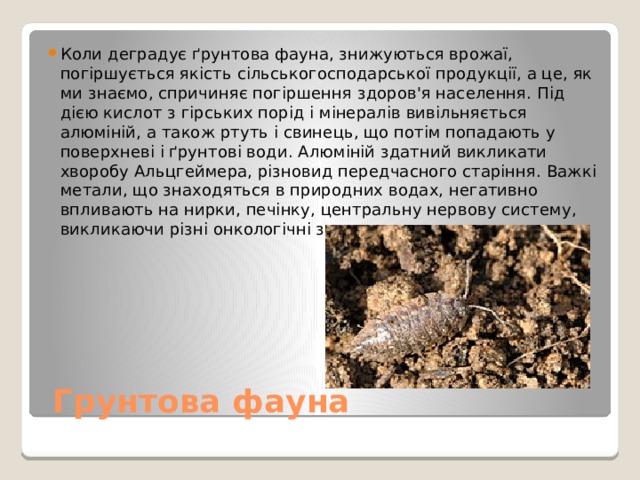 Коли деградує ґрунтова фауна, знижуються врожаї, погіршується якість сільськогосподарської продукції, а це, як ми знаємо, спричиняє погіршення здоров'я населення. Під дією кислот з гірських порід і мінералів вивільняється алюміній, а також ртуть і свинець, що потім попадають у поверхневі і ґрунтові води. Алюміній здатний викликати хворобу Альцгеймера, різновид передчасного старіння. Важкі метали, що знаходяться в природних водах, негативно впливають на нирки, печінку, центральну нервову систему, викликаючи різні онкологічні захворювання  Грунтова фауна 