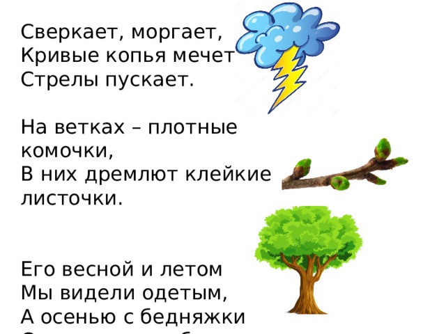 Сверкает, моргает, Кривые копья мечет, Стрелы пускает. На ветках – плотные комочки, В них дремлют клейкие листочки. Его весной и летом Мы видели одетым, А осенью с бедняжки Сорвали все рубашки. 