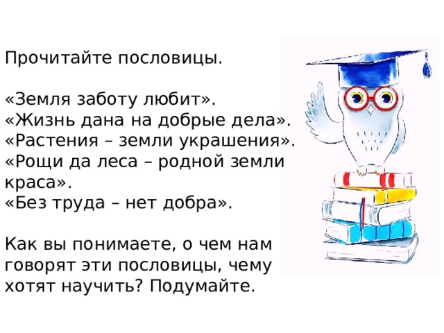 Прочитайте пословицы. «Земля заботу любит». «Жизнь дана на добрые дела». «Растения – земли украшения». «Рощи да леса – родной земли краса». «Без труда – нет добра». Как вы понимаете, о чем нам говорят эти пословицы, чему хотят научить? Подумайте. 