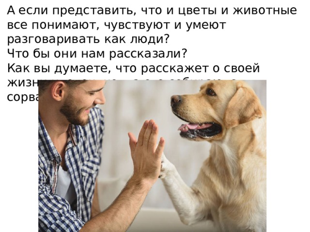 А если представить, что и цветы и животные все понимают, чувствуют и умеют разговаривать как люди? Что бы они нам рассказали? Как вы думаете, что расскажет о своей жизни цветок, когда его собираются сорвать? 