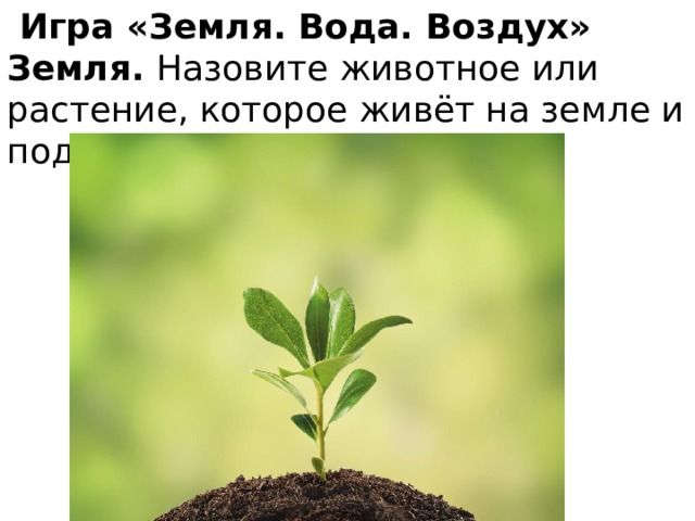  Игра «Земля. Вода. Воздух» Земля. Назовите животное или растение, которое живёт на земле и под землёй. 