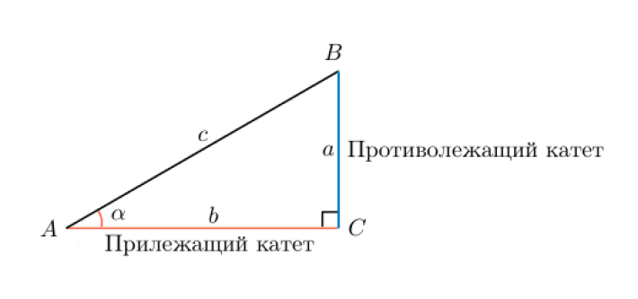 Единичная окружность тригонометрия лекция