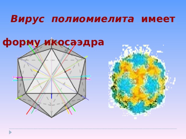 Вирус полиомиелита имеет форму икосаэдра 