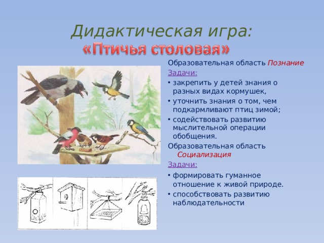 Проект птичья столовая в подготовительной группе