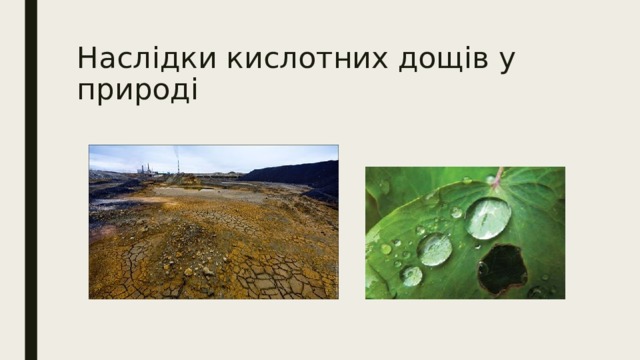 Наслідки кислотних дощів у природі 