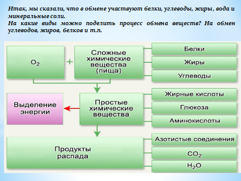 Обмен жиров углеводов и воды. Обмен белков жиров и углеводов. Обмен белков жиров углеводов воды и Минеральных веществ. Обмен белков жиров углеводов воды и Минеральных солей. Что участвует в обмене углеводов жиров.